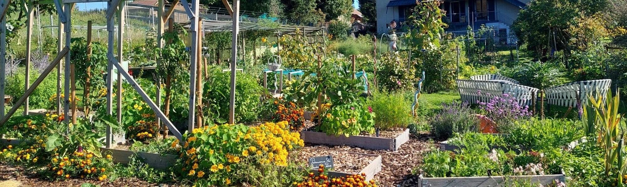 jardin.JPG